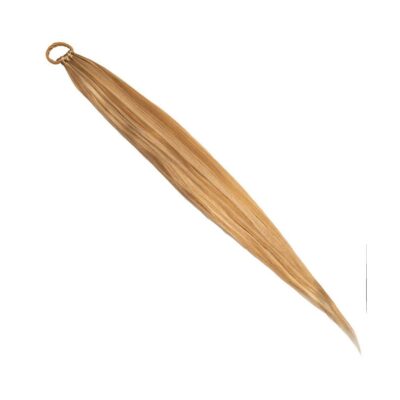 DIY Ponytail 613 / 27