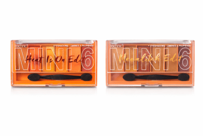 Technic eyeshadow Mini 6